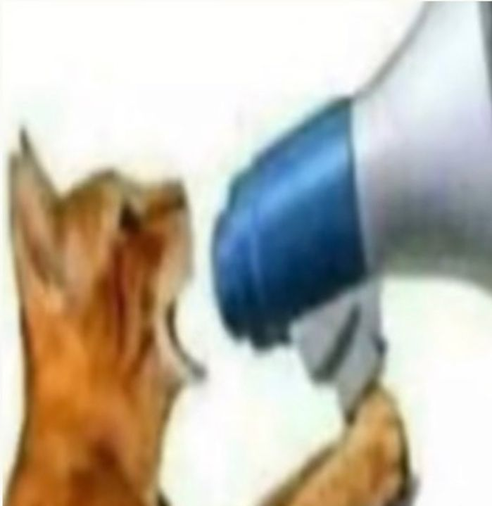 Low-resolution cat reaching toward a camera