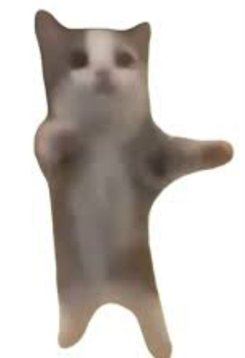 Low-resolution cat standing in a T-pose